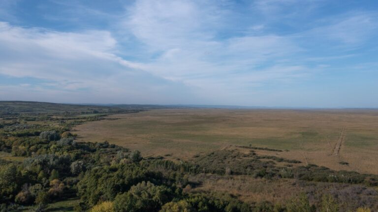 Panoráma a Gloriette kilátóból © Pakai Péter