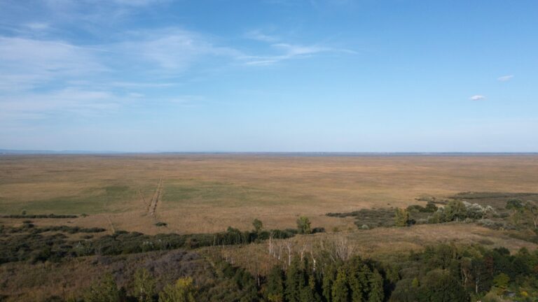 Kilátás a Fertő tóra © Pakai Péter