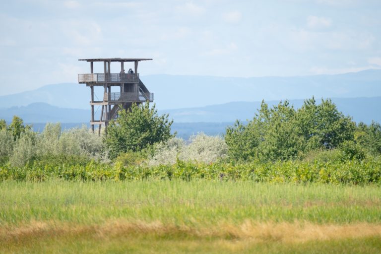 Hölle kilátó © Lukas Vendler
